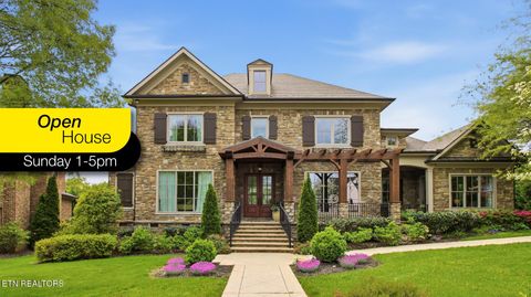 Photo of 805 Hammock Lane, Knoxville, TN 37934 (MLS # 1336679)