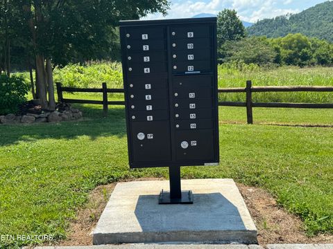 Tiny photo for River Rapids Way Lot 5 Way, Del Rio, TN 37727 (MLS # 1311565)