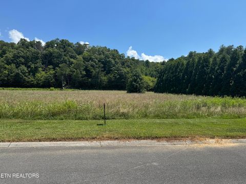 Tiny photo for River Rapids Way Lot 5 Way, Del Rio, TN 37727 (MLS # 1311565)