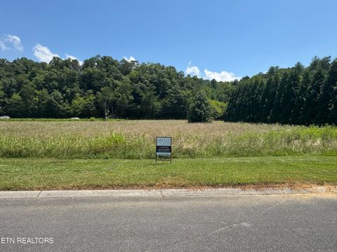 Tiny photo for River Rapids Way Lot 5 Way, Del Rio, TN 37727 (MLS # 1311565)