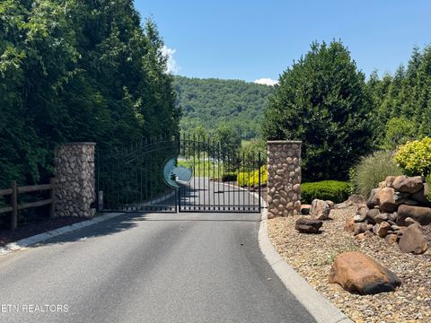 Tiny photo for River Rapids Way Lot 5 Way, Del Rio, TN 37727 (MLS # 1311565)