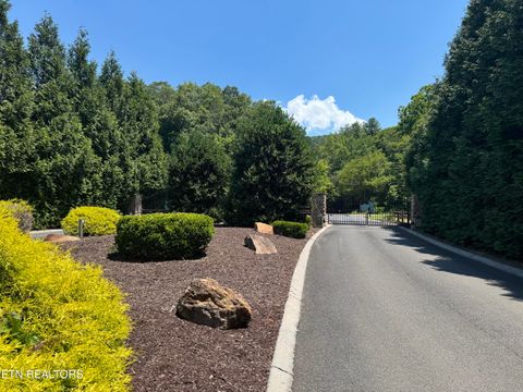 Tiny photo for River Rapids Way Lot 5 Way, Del Rio, TN 37727 (MLS # 1311565)