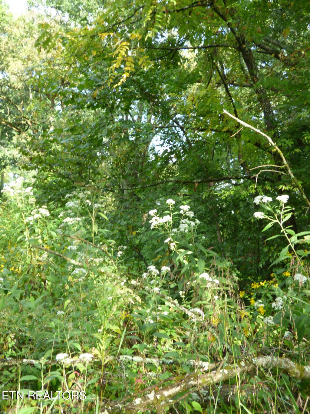 Photo of 2 Hwy 11E, Strawberry Plains, TN 37871 (MLS # 1239523)