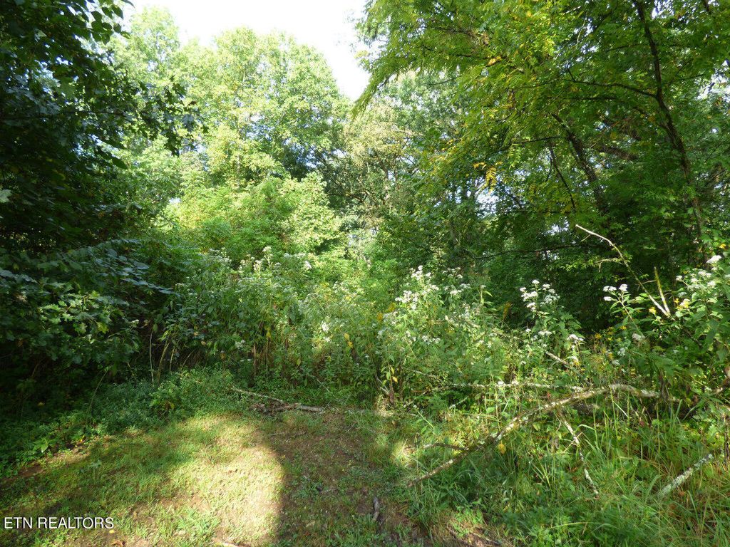 Photo of 2 Hwy 11E, Strawberry Plains, TN 37871 (MLS # 1239523)