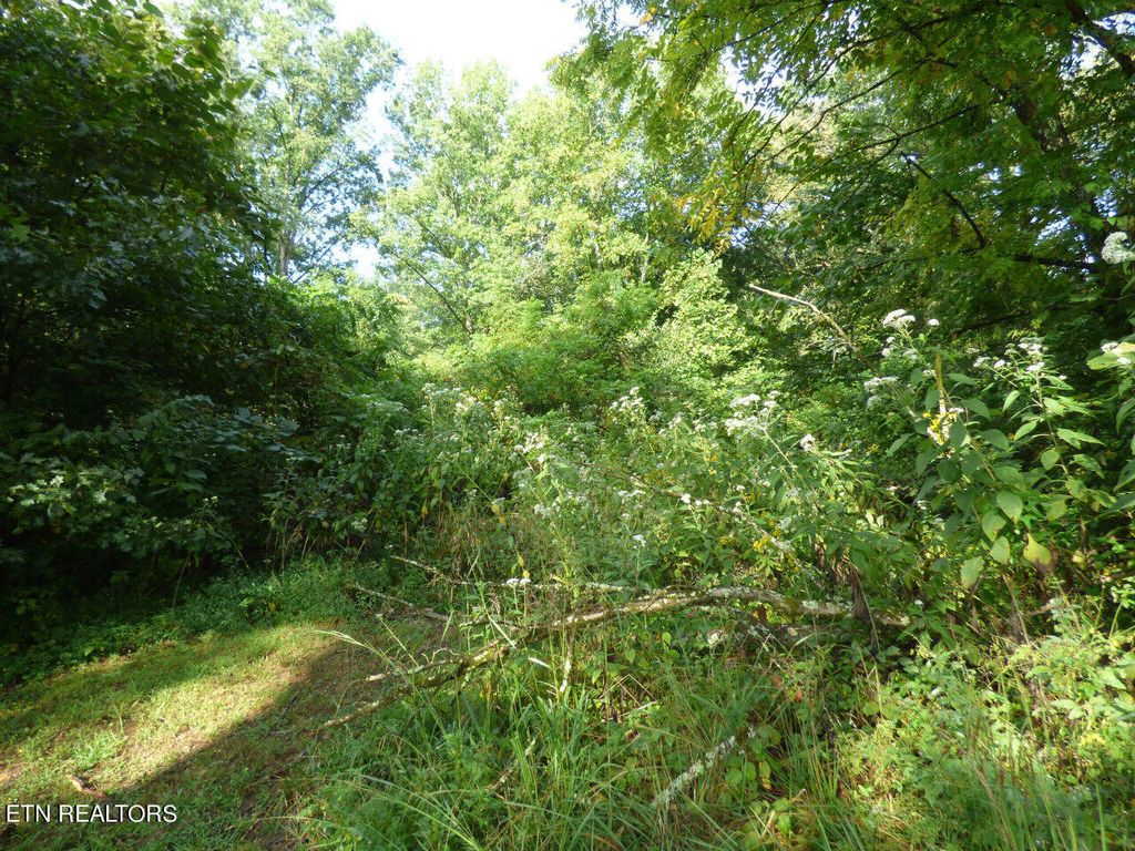Photo of 2 Hwy 11E, Strawberry Plains, TN 37871 (MLS # 1239523)