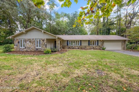 Photo of 315 Chowning Drive, Knoxville, TN 37934 (MLS # 1317125)