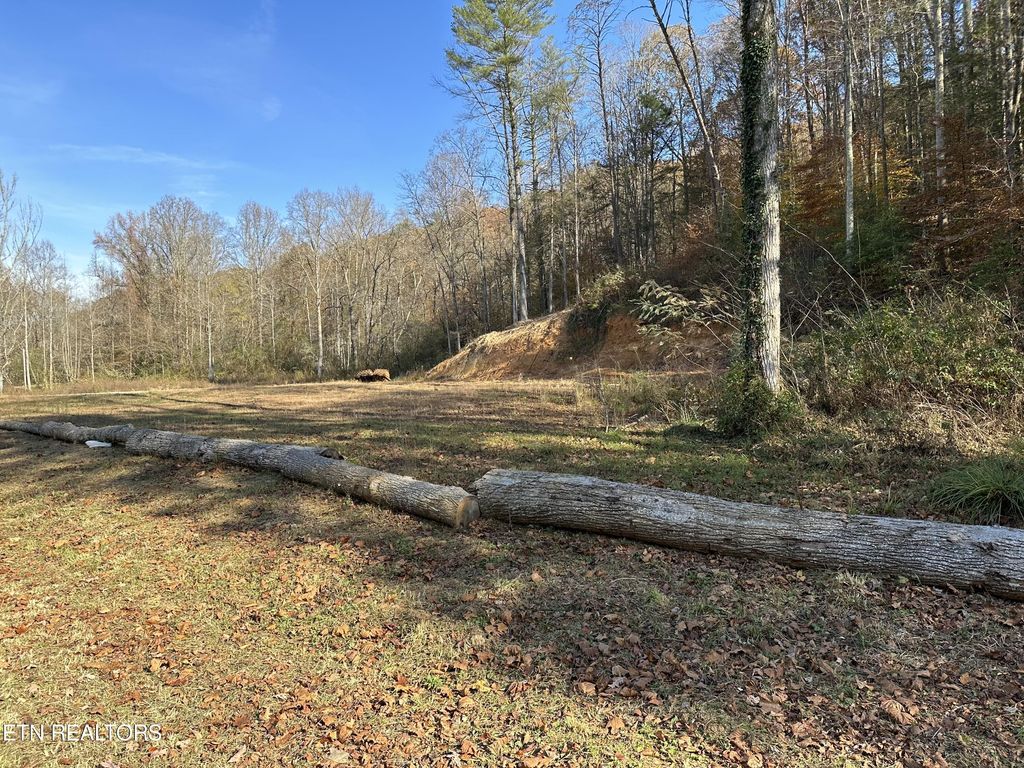 Photo of 302 Frost Bottom Rd, Oliver Springs, TN 37840 (MLS # 1243271)