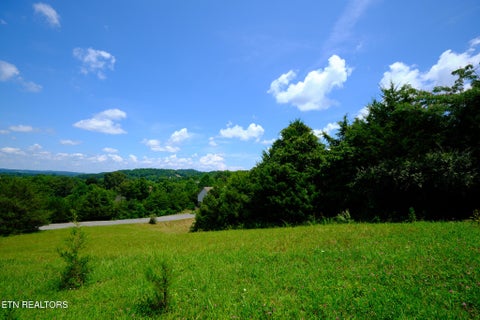 Tiny photo for 832 Gavin Lane, Seymour, TN 37865 (MLS # 1357373)