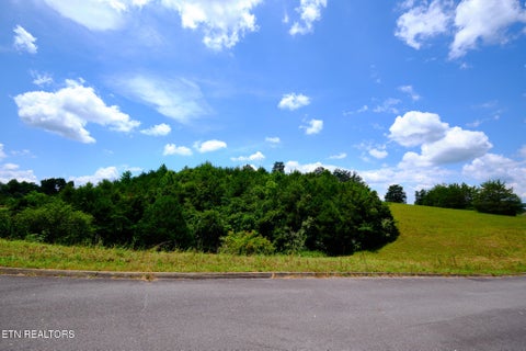 Tiny photo for 832 Gavin Lane, Seymour, TN 37865 (MLS # 1357373)