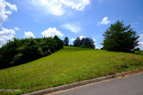 Tiny photo for 832 Gavin Lane, Seymour, TN 37865 (MLS # 1357373)