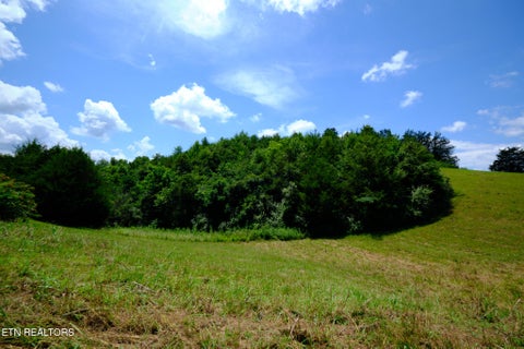 Tiny photo for 832 Gavin Lane, Seymour, TN 37865 (MLS # 1357373)