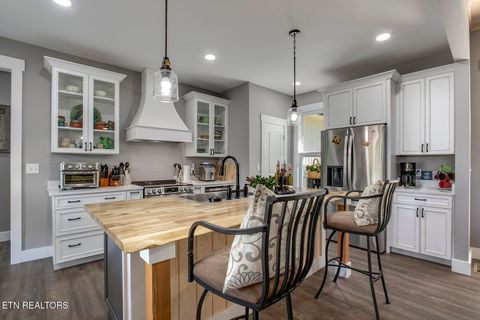 Tiny photo for 1056 Chula Vista Drive, Friendsville, TN 37737 (MLS # 1338556)