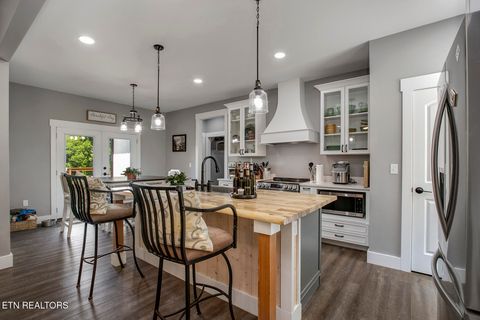 Tiny photo for 1056 Chula Vista Drive, Friendsville, TN 37737 (MLS # 1338556)