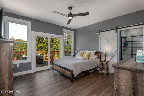 Tiny photo for 1056 Chula Vista Drive, Friendsville, TN 37737 (MLS # 1338556)