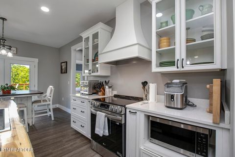 Tiny photo for 1056 Chula Vista Drive, Friendsville, TN 37737 (MLS # 1338556)