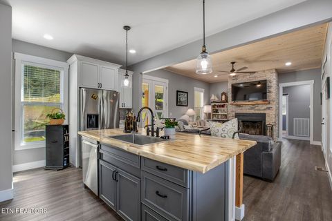 Tiny photo for 1056 Chula Vista Drive, Friendsville, TN 37737 (MLS # 1338556)