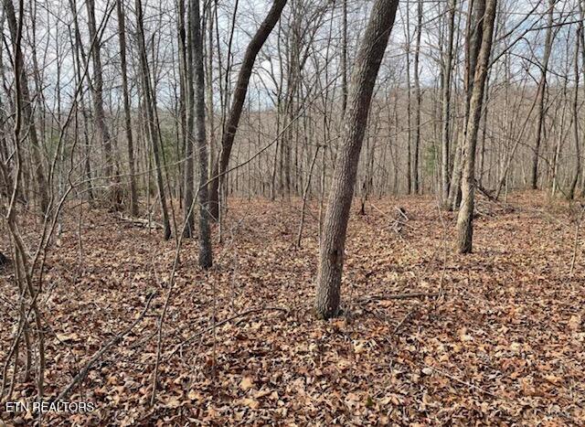 67.86 Ac Junior Cox Rd