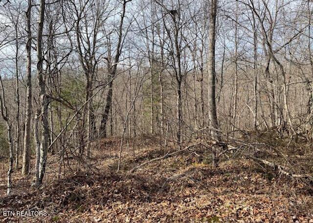 67.86 Ac Junior Cox Rd