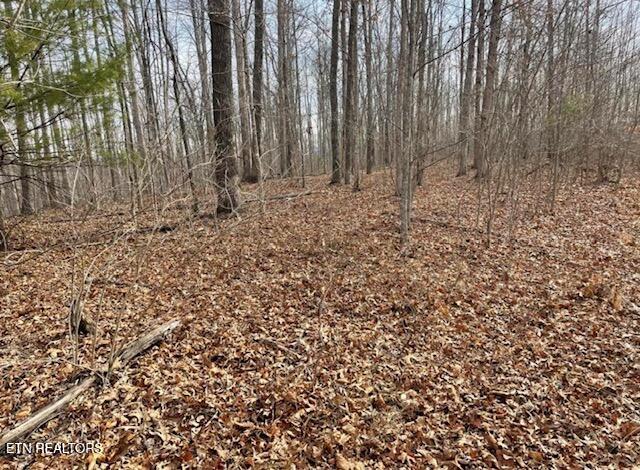 67.86 Ac Junior Cox Rd