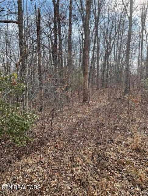 67.86 Ac Junior Cox Rd
