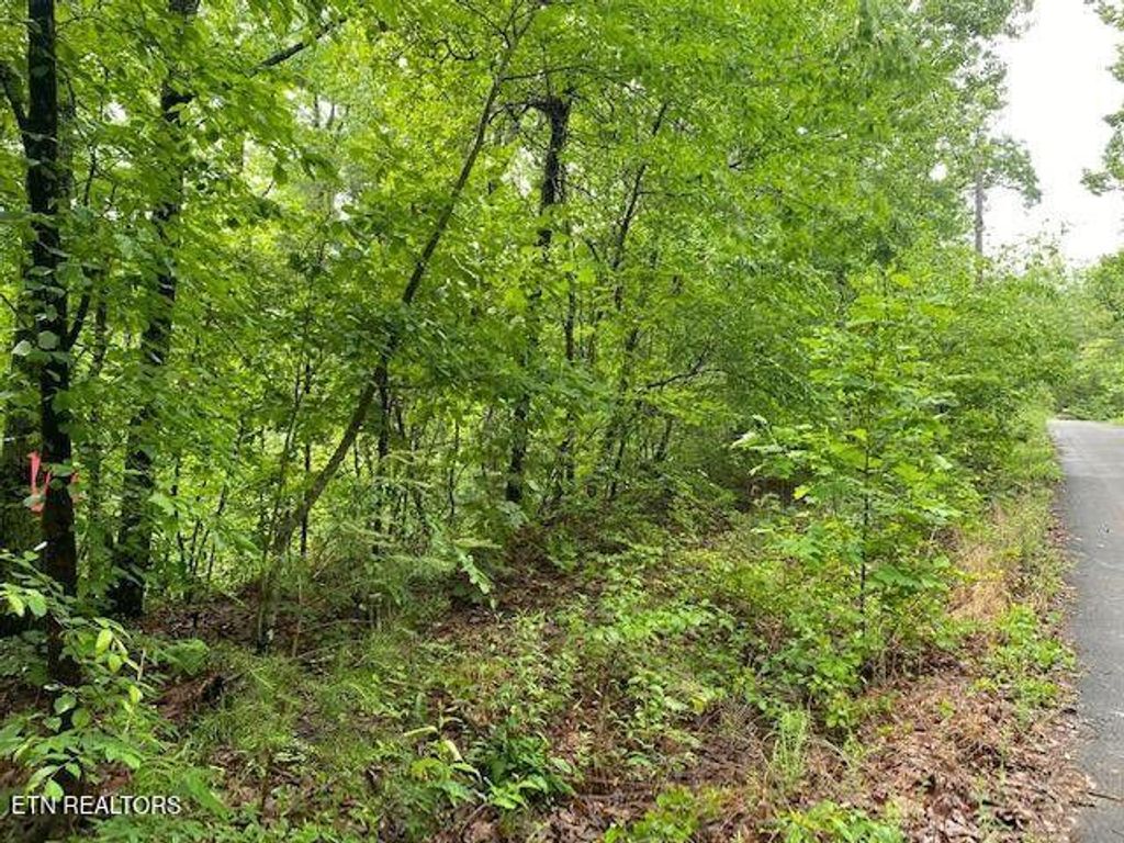 Photo of 9129 Lynnwood Lane, Rockford, TN 37853 (MLS # 1331092)