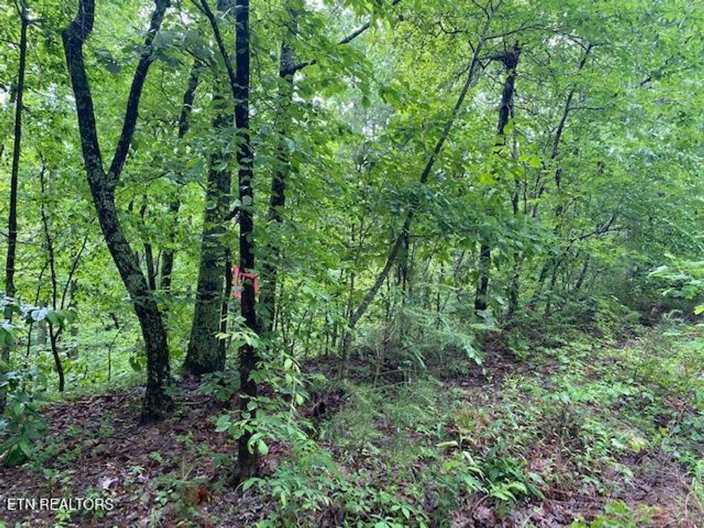 Photo of 9129 Lynnwood Lane, Rockford, TN 37853 (MLS # 1331092)