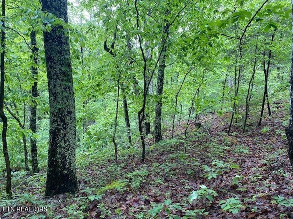 Photo of 9129 Lynnwood Lane, Rockford, TN 37853 (MLS # 1331092)