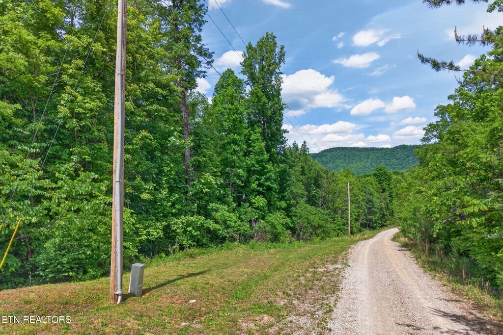 Photo of W Bobcat Lane, Wilder, TN 38589 (MLS # 1339464)