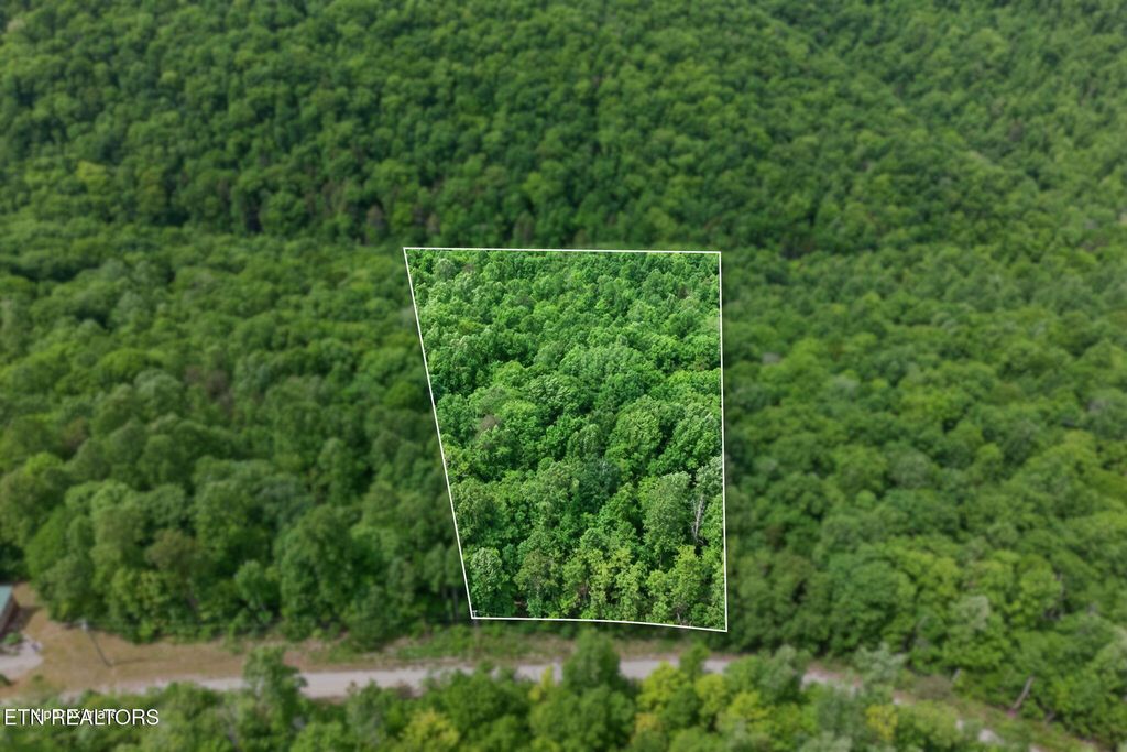 Photo of W Bobcat Lane, Wilder, TN 38589 (MLS # 1339464)