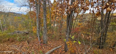 Photo of 1165 W Highway 25-70, Dandridge, TN 37725 (MLS # 1320800)