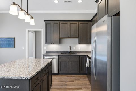 Tiny photo for 206 Zion Cove Lane, Englewood, TN 37329 (MLS # 1327803)