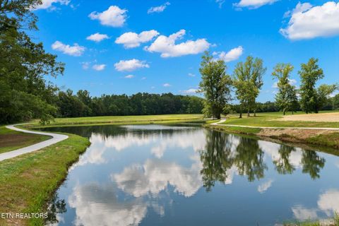 Tiny photo for 206 Zion Cove Lane, Englewood, TN 37329 (MLS # 1327803)