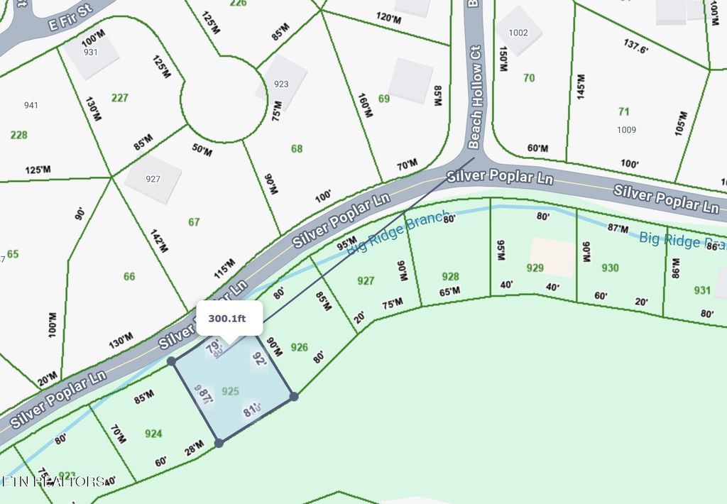 Photo of 925 Silver Poplar Lane, Sevierville, TN 37876 (MLS # 1335146)