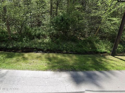Photo of 925 Silver Poplar Lane, Sevierville, TN 37876 (MLS # 1335146)