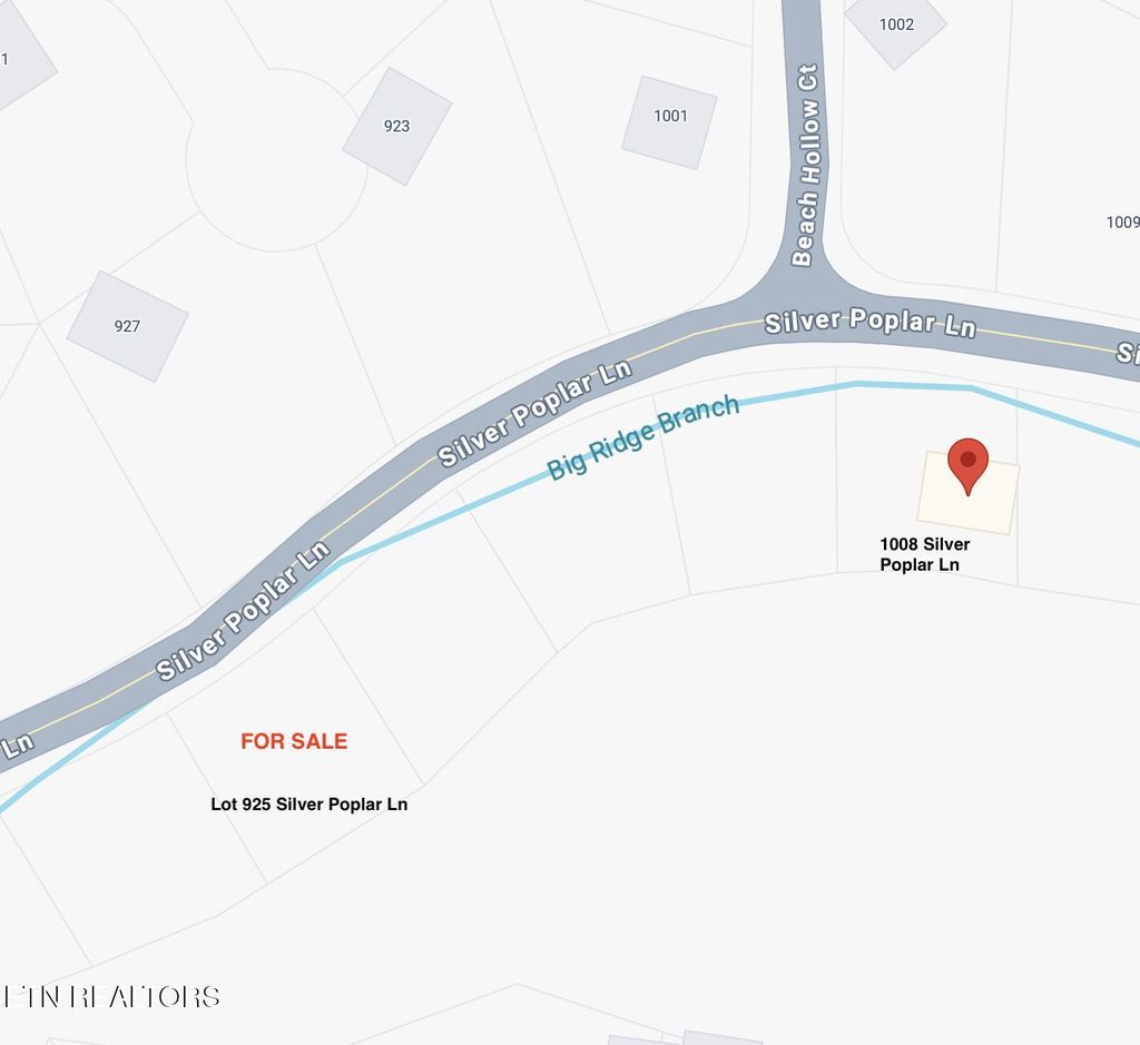 Photo of 925 Silver Poplar Lane, Sevierville, TN 37876 (MLS # 1335146)