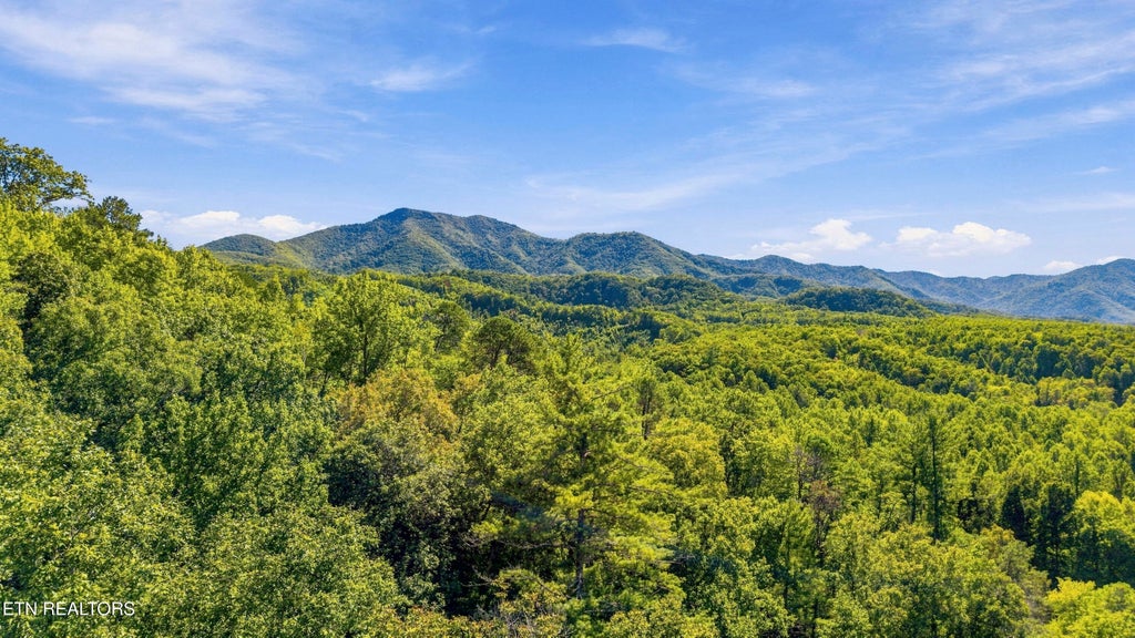 Photo of 910 Windy Hill Way, Cosby, TN 37722 (MLS # 1356568)
