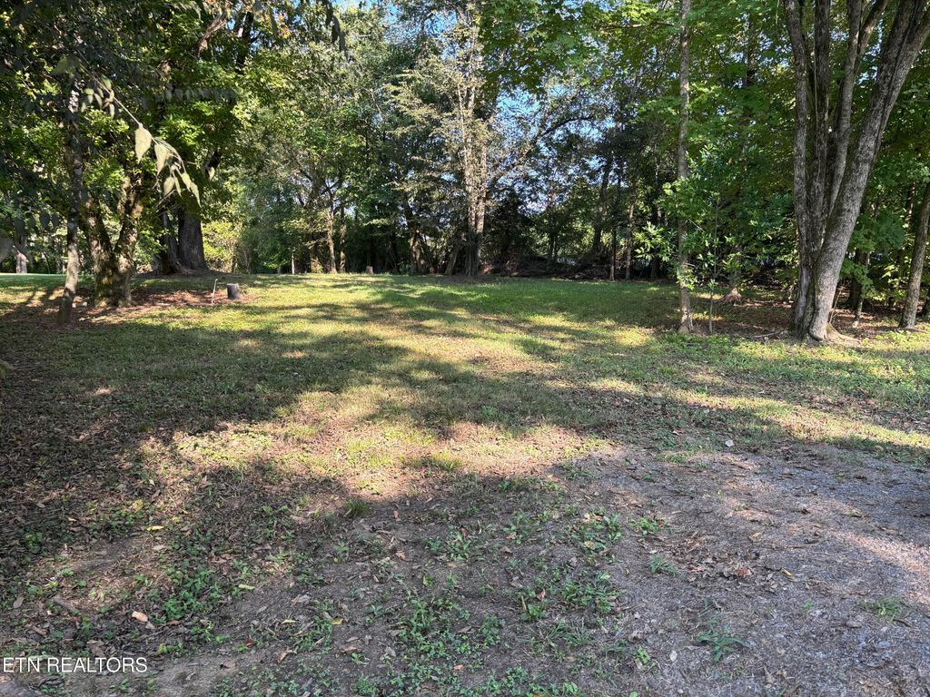 Photo of 118 Sunset Avenue Ave, Englewood, TN 37329 (MLS # 1314953)