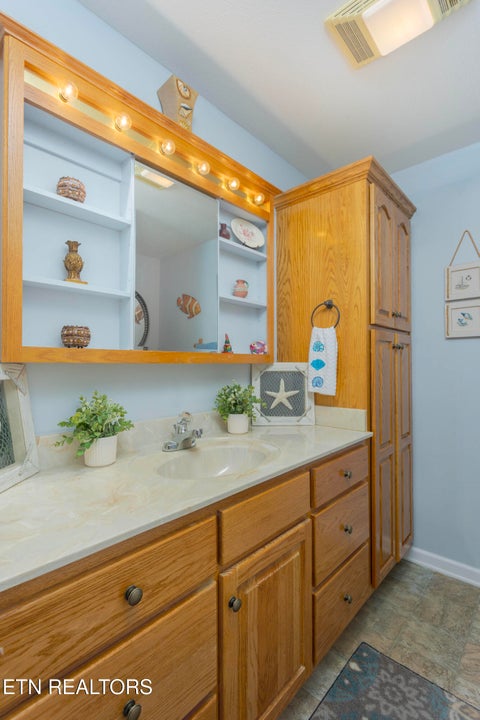 Tiny photo for 493 Sandtown Rd, Spring City, TN 37381 (MLS # 1354939)