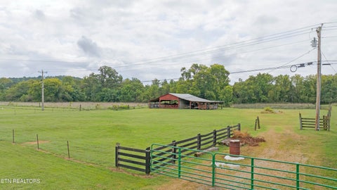 Tiny photo for 493 Sandtown Rd, Spring City, TN 37381 (MLS # 1354939)