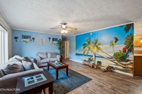 Tiny photo for 236 Loggers Lane, Clinton, TN 37716 (MLS # 1350091)