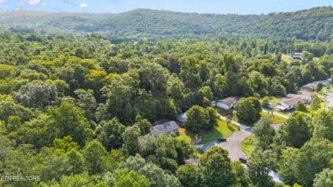 Tiny photo for 236 Loggers Lane, Clinton, TN 37716 (MLS # 1350091)
