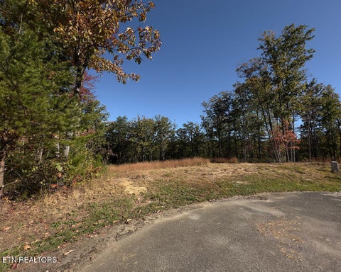 Tiny photo for 117 Fox Run Court, Monterey, TN 38574 (MLS # 1360066)