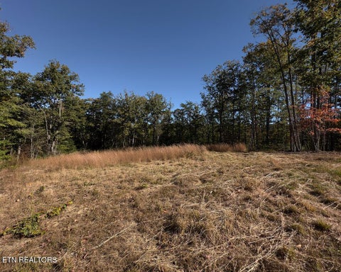 Tiny photo for 117 Fox Run Court, Monterey, TN 38574 (MLS # 1360066)