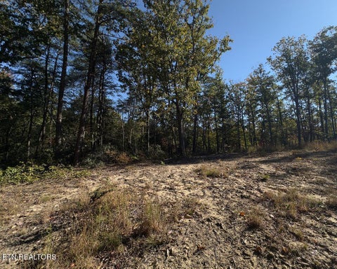 Tiny photo for 117 Fox Run Court, Monterey, TN 38574 (MLS # 1360066)