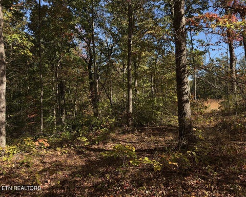 Tiny photo for 117 Fox Run Court, Monterey, TN 38574 (MLS # 1360066)