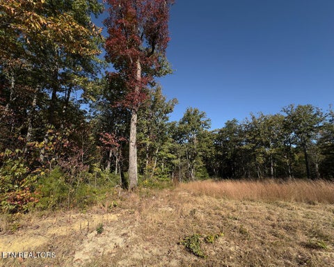 Tiny photo for 117 Fox Run Court, Monterey, TN 38574 (MLS # 1360066)