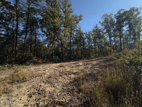Tiny photo for 117 Fox Run Court, Monterey, TN 38574 (MLS # 1360066)