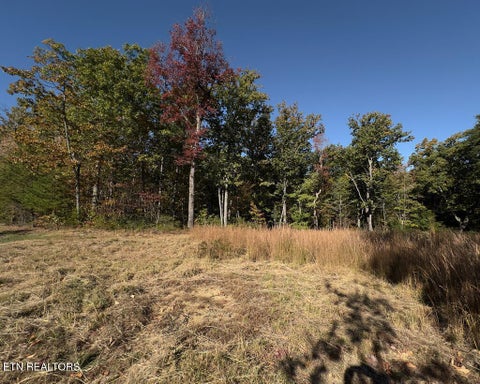 Tiny photo for 117 Fox Run Court, Monterey, TN 38574 (MLS # 1360066)
