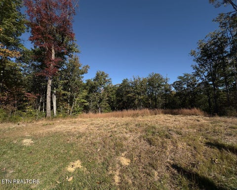 Photo of 117 Fox Run Court, Monterey, TN 38574 (MLS # 1360066)