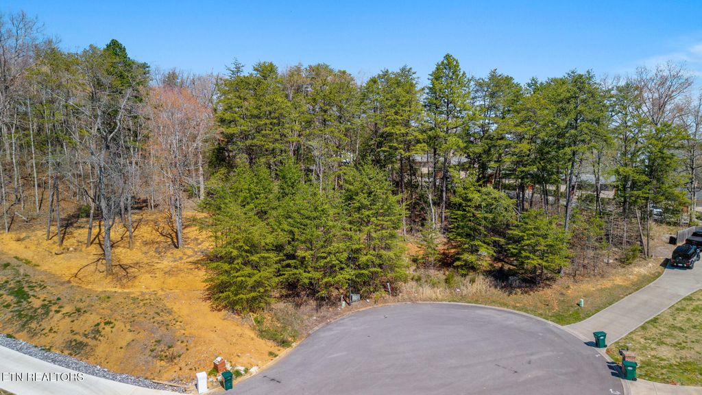 Photo of 1701 Sierra Lane, Sevierville, TN 37862 (MLS # 1334441)